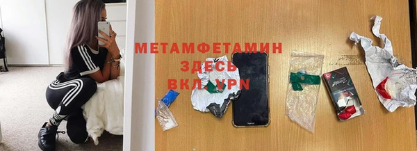 ГАЛЛЮЦИНОГЕННЫЕ ГРИБЫ Козловка