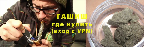 ГАЛЛЮЦИНОГЕННЫЕ ГРИБЫ Козловка