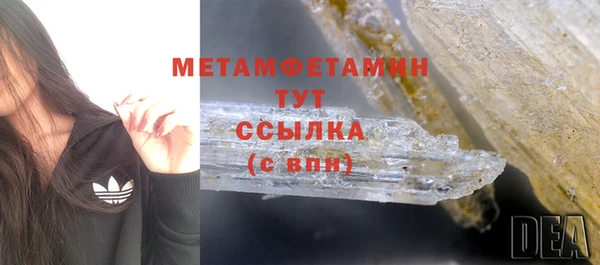 гидра Кодинск