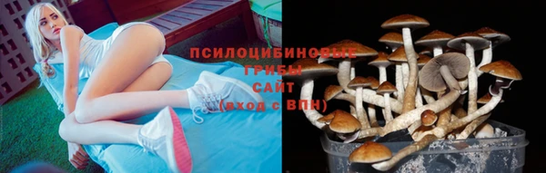 а пвп мука Киренск