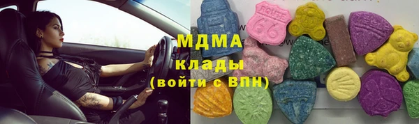 гидра Кодинск