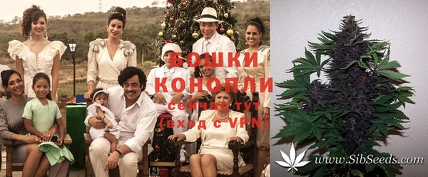 ГАЛЛЮЦИНОГЕННЫЕ ГРИБЫ Козловка