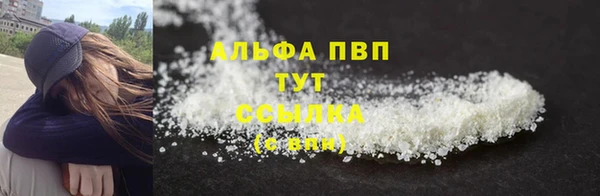 ГАЛЛЮЦИНОГЕННЫЕ ГРИБЫ Козловка
