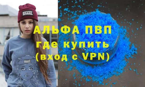 гидра Кодинск