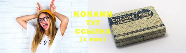 гидра Кодинск