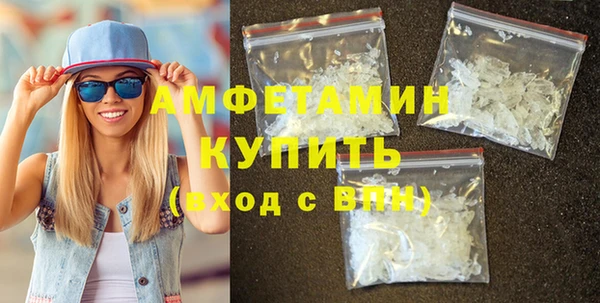 гидра Кодинск