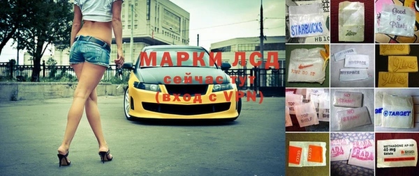 гидра Кодинск