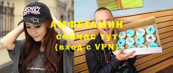 ГАЛЛЮЦИНОГЕННЫЕ ГРИБЫ Козловка