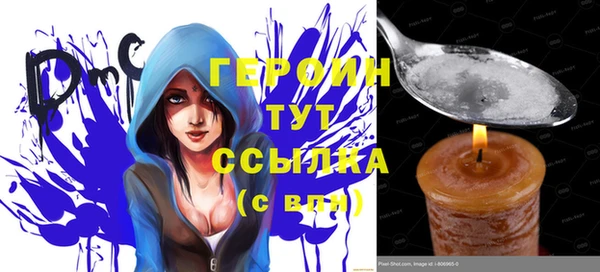 гидра Кодинск