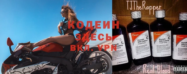 ГАЛЛЮЦИНОГЕННЫЕ ГРИБЫ Козловка