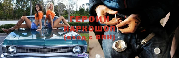 гидра Кодинск