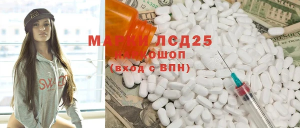 гидра Кодинск