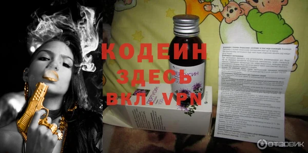 ГАЛЛЮЦИНОГЕННЫЕ ГРИБЫ Козловка