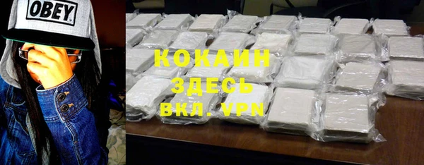 гидра Кодинск
