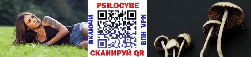 Псилоцибиновые грибы Psilocybe  Купить где  Ковдор 