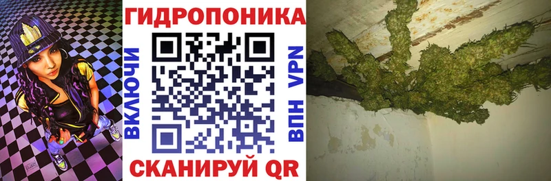 Канабис план  Купить  Ковдор 